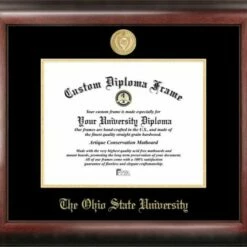 Discount - Ohio State Buckeyes Gold Embossed Diploma Frame