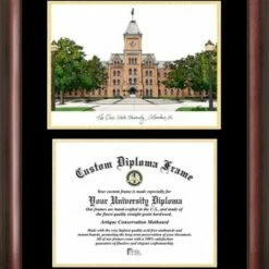 Discount - Ohio State Buckeyes Gold Embossed Diploma Frame with Campus Images Lithograph