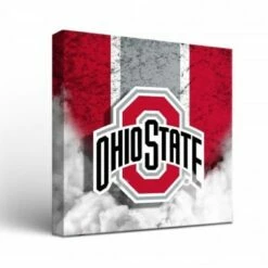 Discount - Ohio State Buckeyes Vintage Canvas Wall Art