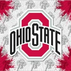 Discount - Ohio State Buckeyes Logo Canvas Print