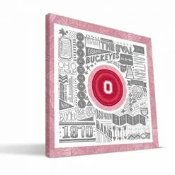 Discount - Ohio State Buckeyes 16" x 16" Pictograph Canvas Print