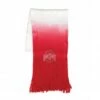 Discount - Ohio State Buckeyes Dip Dye Scarf