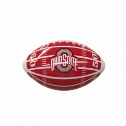 Discount - Ohio State Buckeyes Field Mini Glossy Football