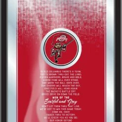 Discount - Ohio State Buckeyes Fight Song Mirror